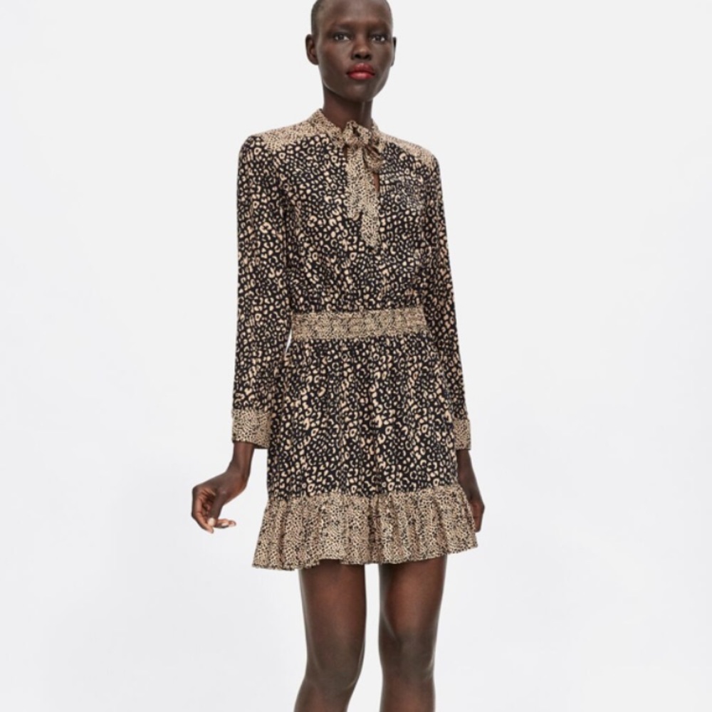 Zara dress